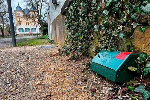 Im Schweizer Rheinfelden werden Ratten mit Giftkderboxen bekmpft