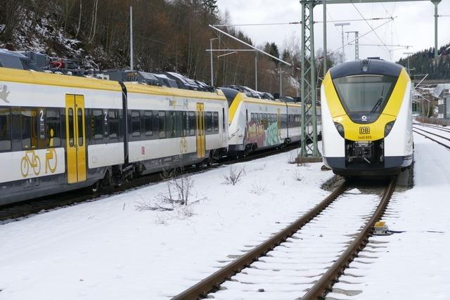 Baumfllung fhrt zu Ersatzverkehr fr Breisgau S-Bahn ab Montag