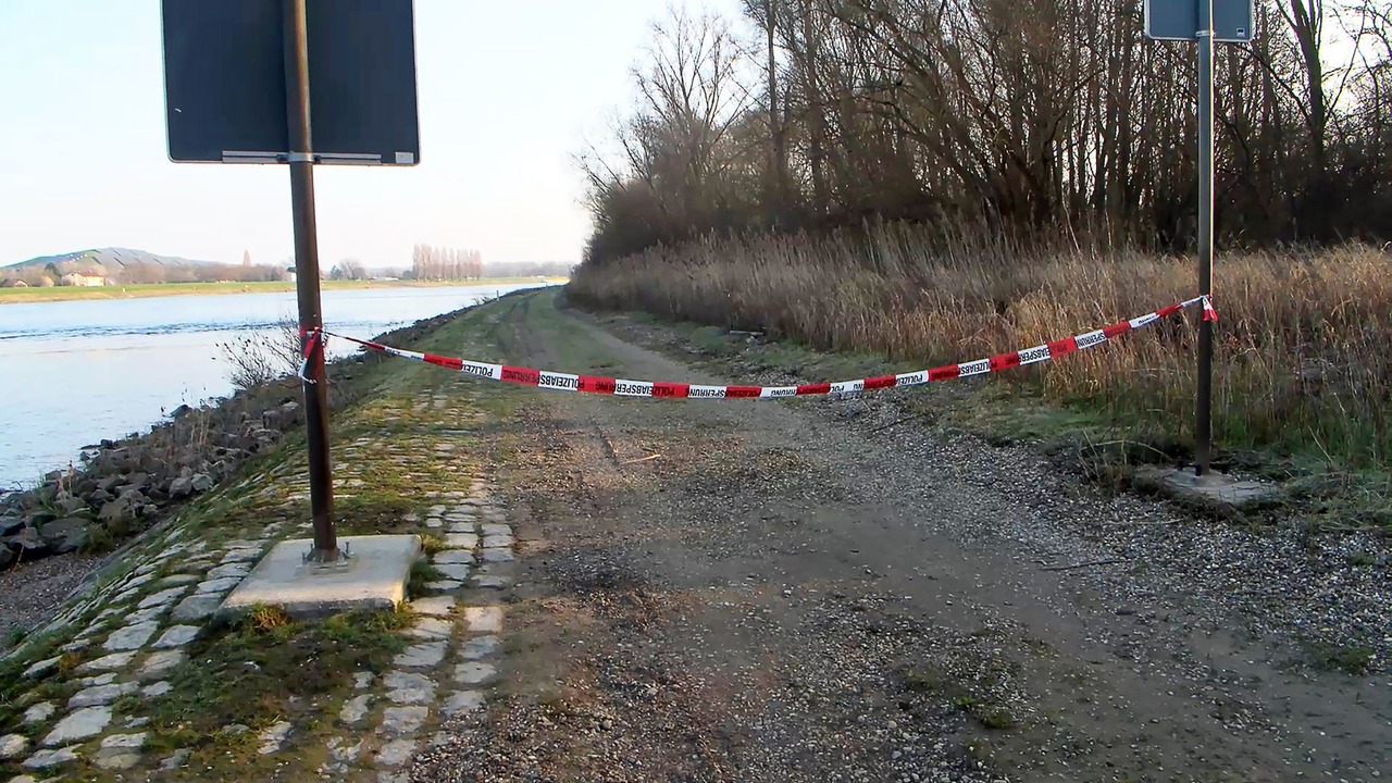 Am Rheindamm wurde die Leiche einer Frau gefunden.  | Foto: Ren&eacute; Priebe/pr-video/dpa